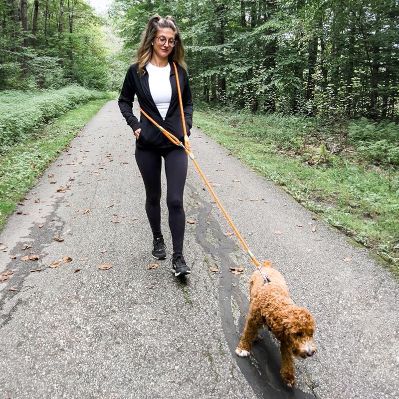Running Zwift - Tali Anjing yang Dapat Dipakai Tanpa
