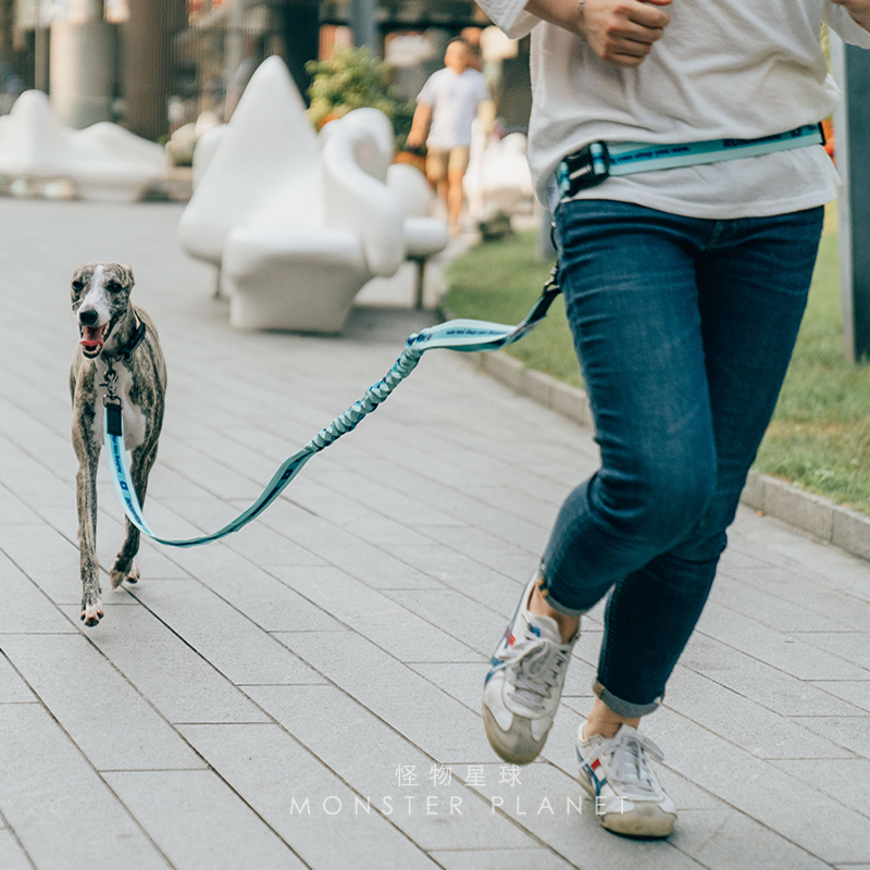 Tali Anjing Bebas Genggam Dapa - Running Zwift ulasan dan harga