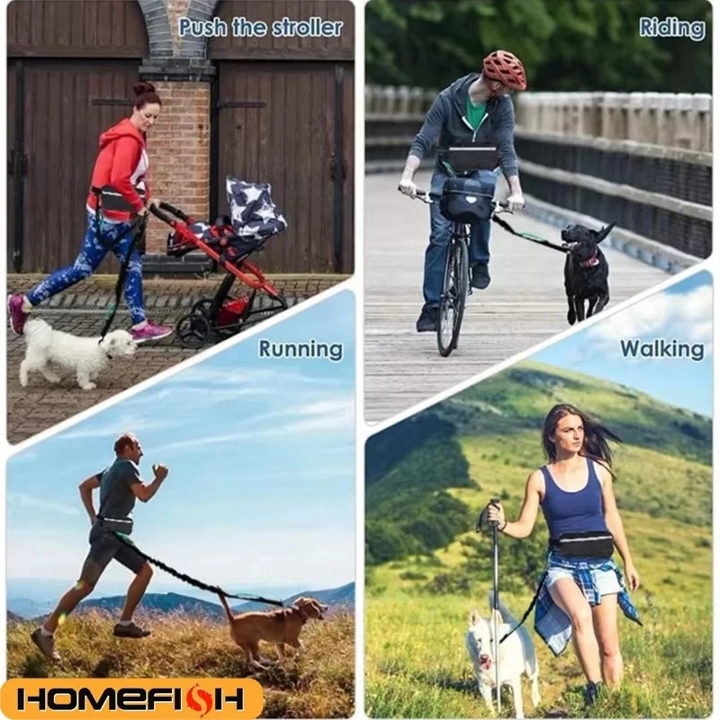 Tali Anjing Reflektif Tanpa Pe - Running Zwift ulasan dan harga